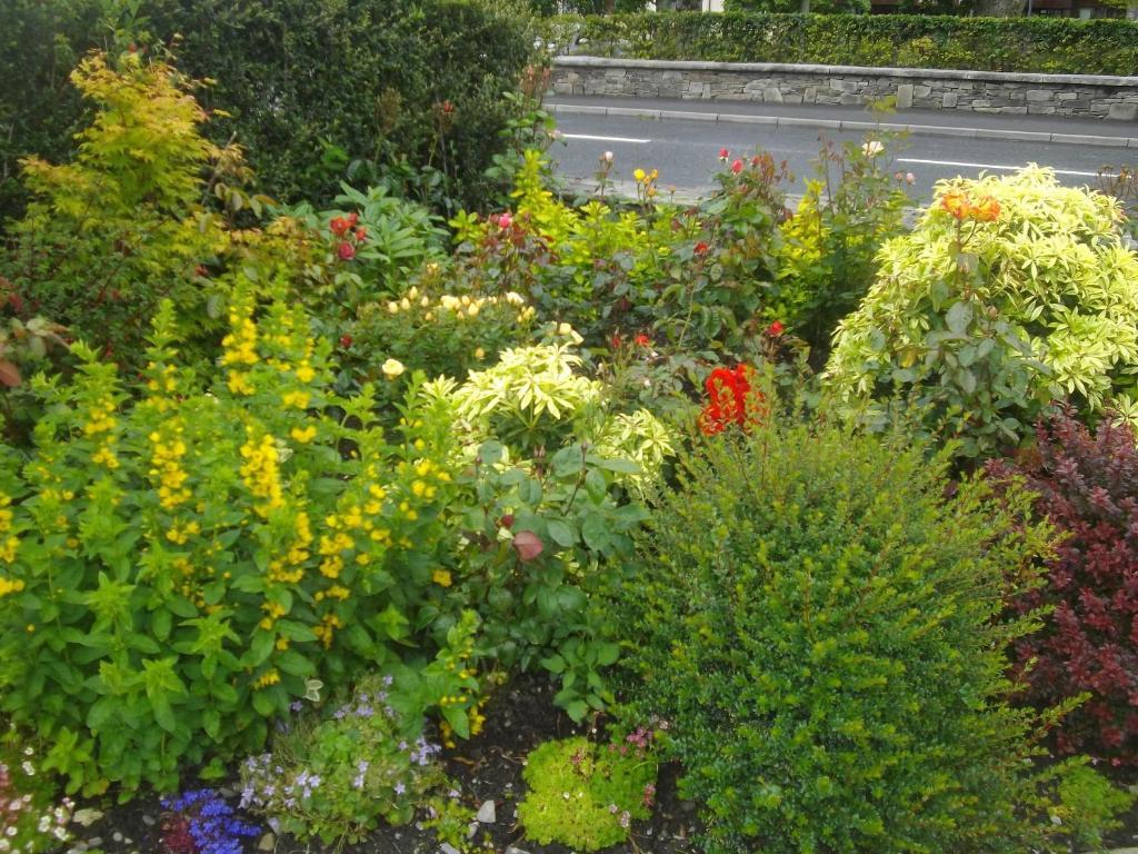 Quay West Ireland Bed and Breakfast Westport Esterno foto