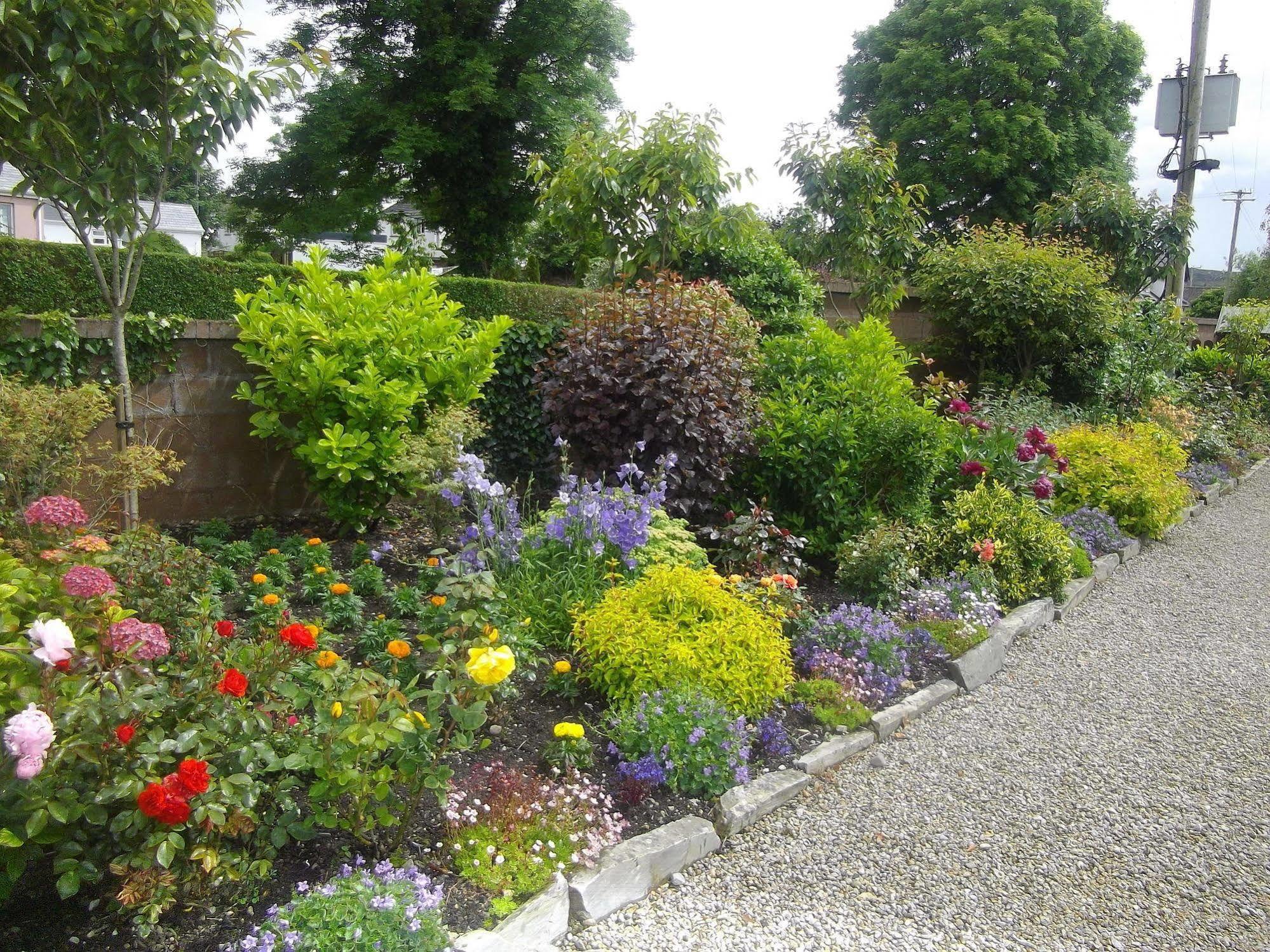Quay West Ireland Bed and Breakfast Westport Esterno foto