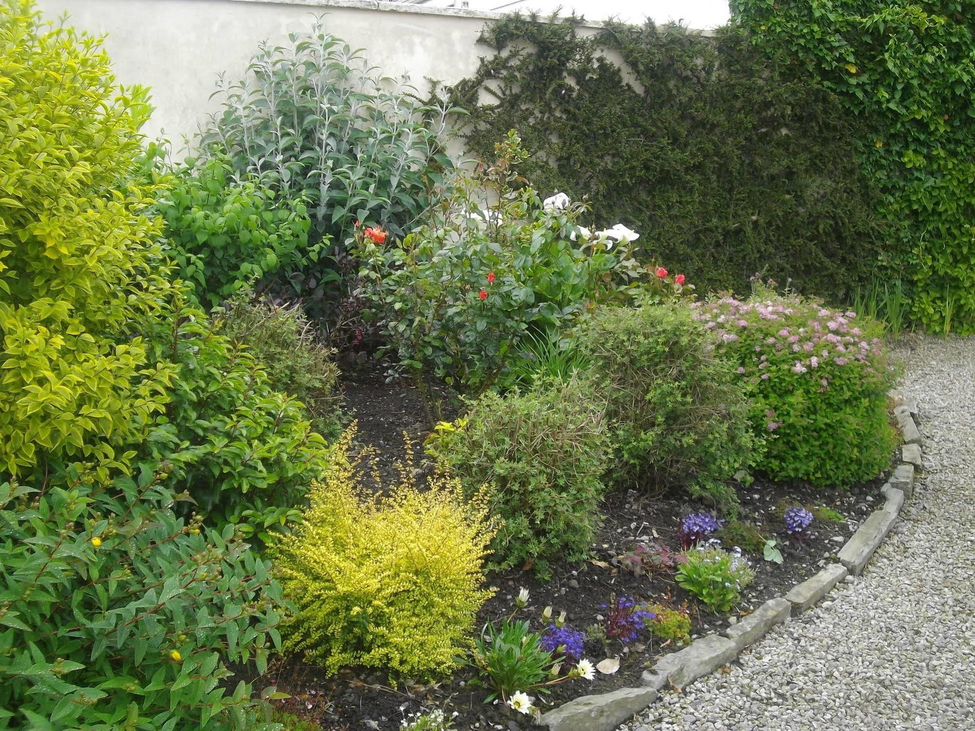 Quay West Ireland Bed and Breakfast Westport Esterno foto